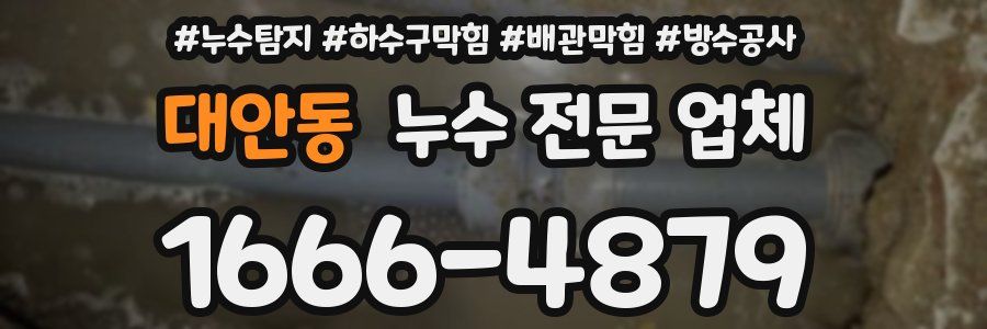 대안동 누수 전문 업체