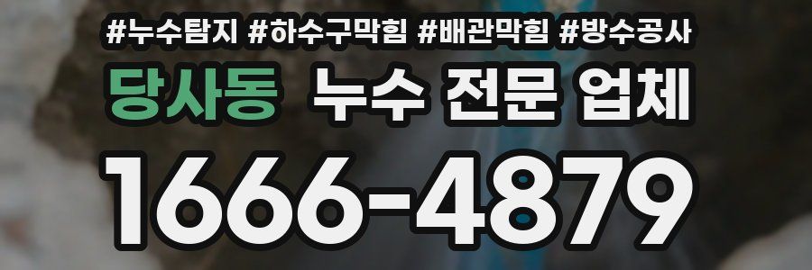 당사동 누수 전문 업체
