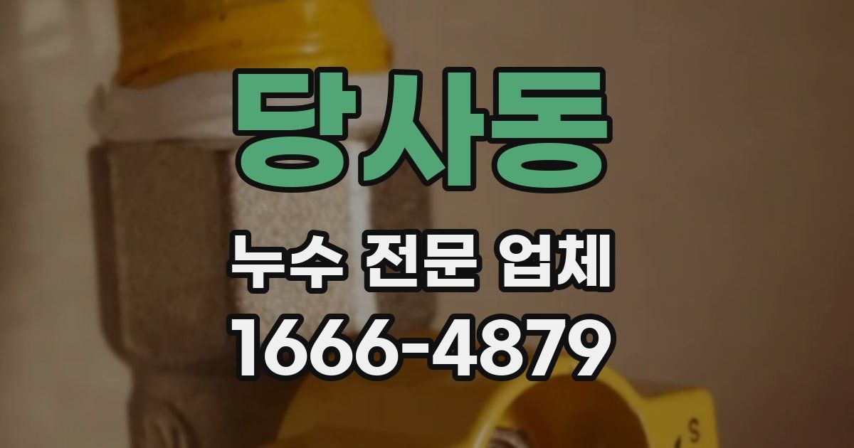 당사동 누수 전문 업체