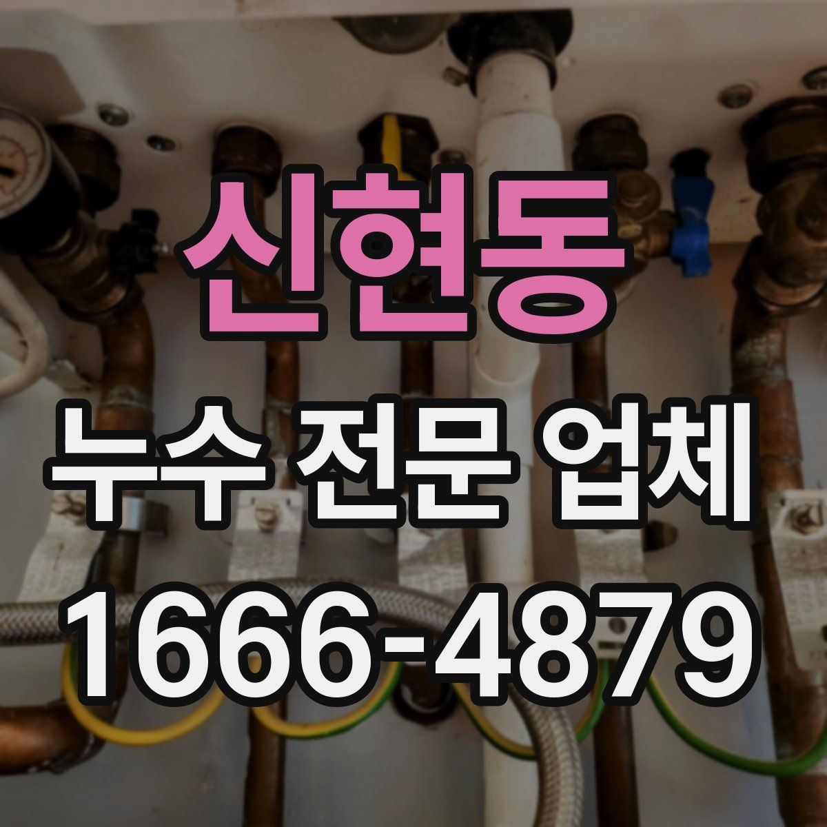 신현동 누수 전문 업체