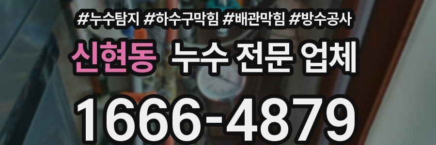 신현동 누수 전문 업체