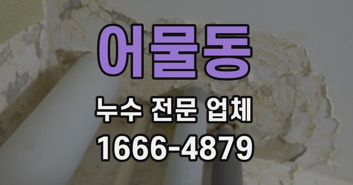 어물동 누수 전문 업체
