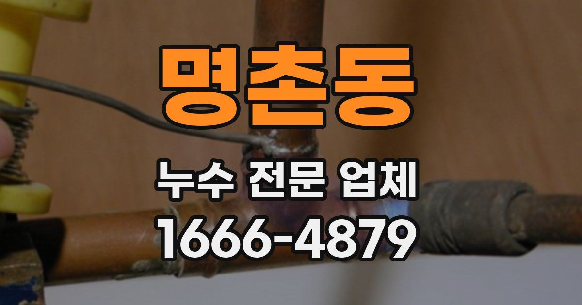 명촌동 누수 전문 업체