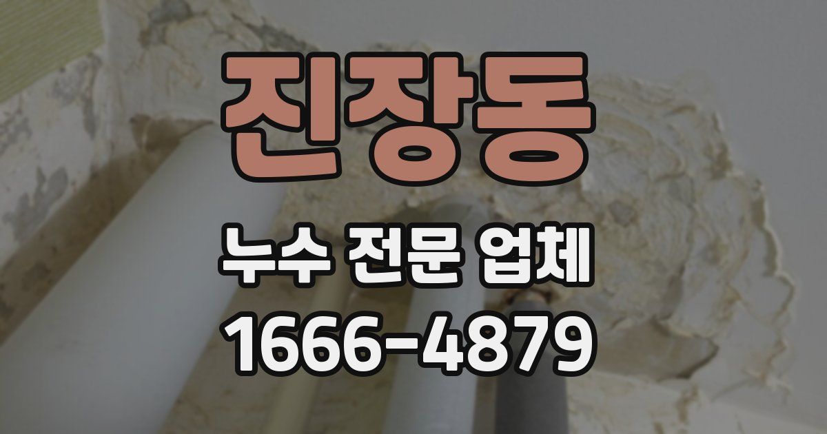 진장동 누수 전문 업체