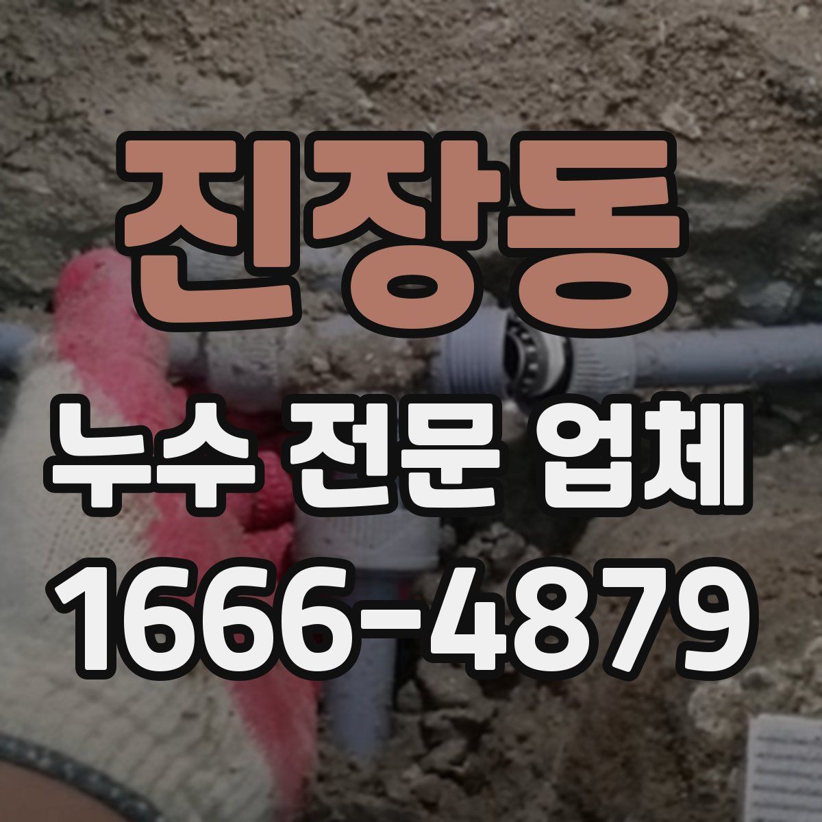 진장동 누수 전문 업체