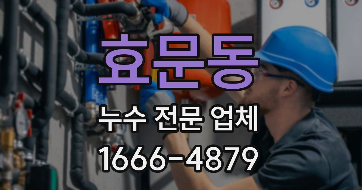 효문동 누수 전문 업체