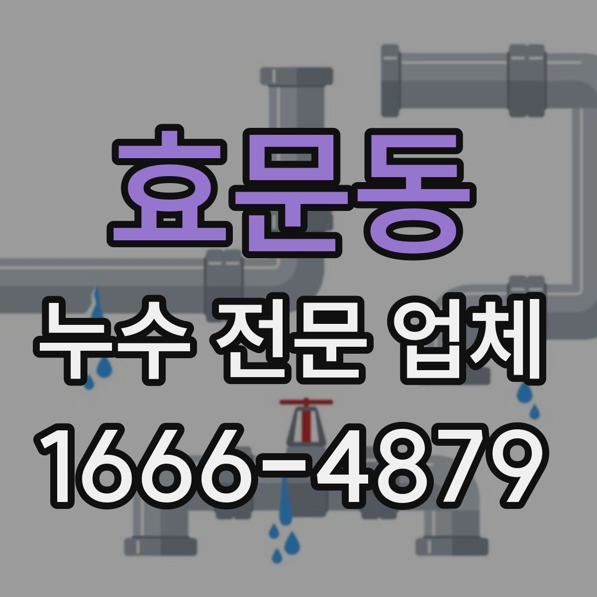 효문동 누수 전문 업체