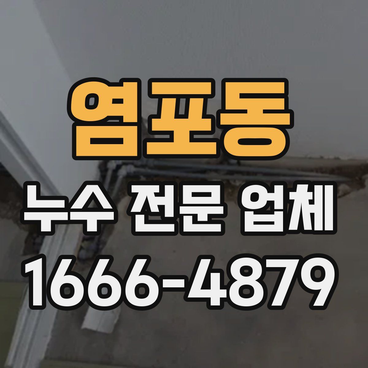 염포동 누수 전문 업체