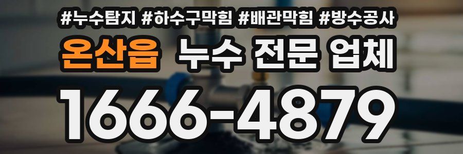온산읍 누수 전문 업체