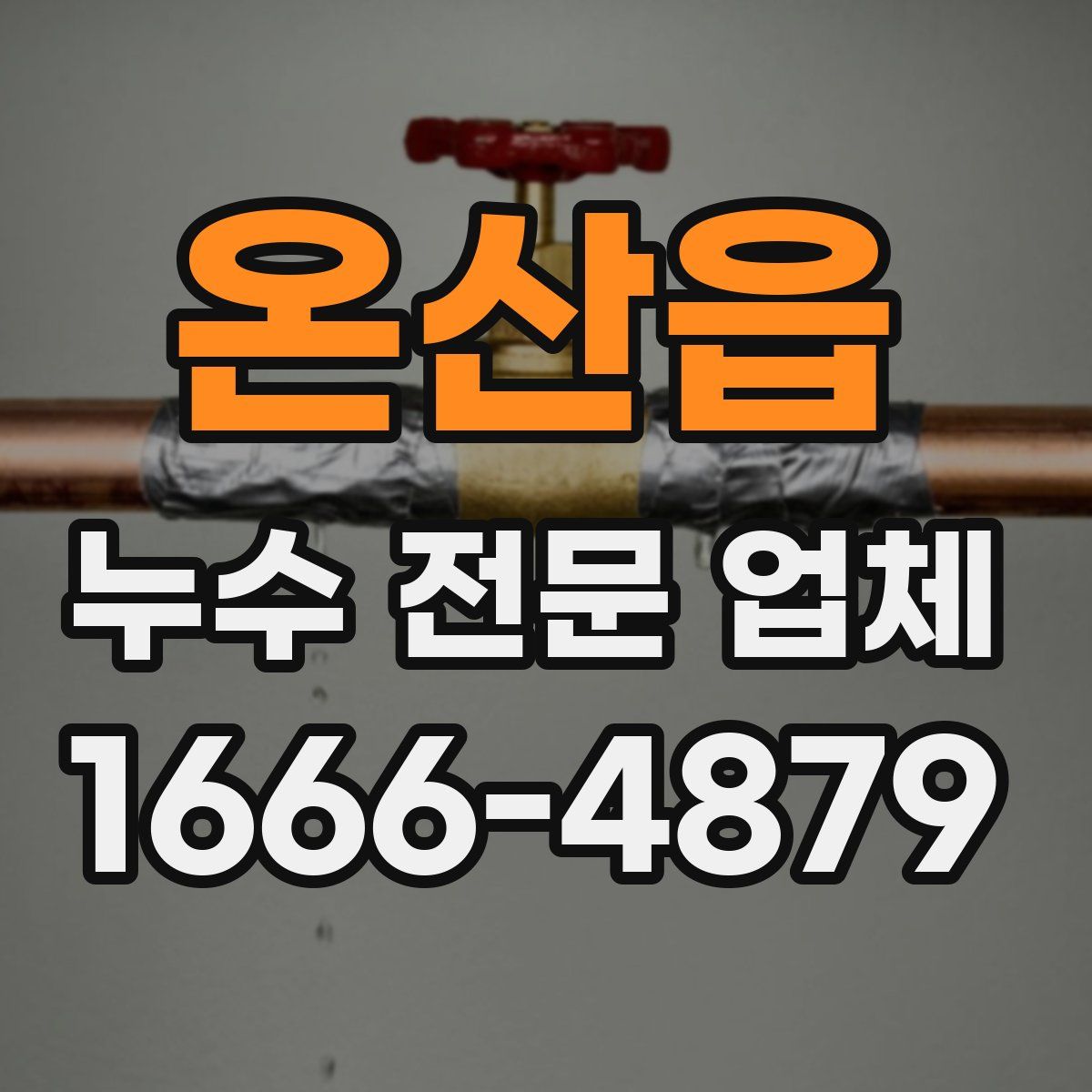 온산읍 누수 전문 업체