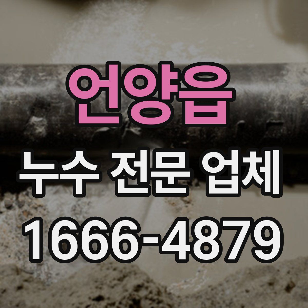 언양읍 누수 전문 업체