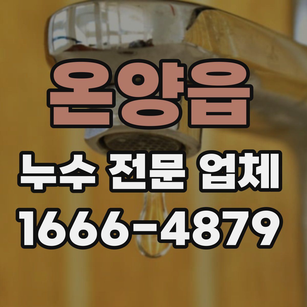 온양읍 누수 전문 업체