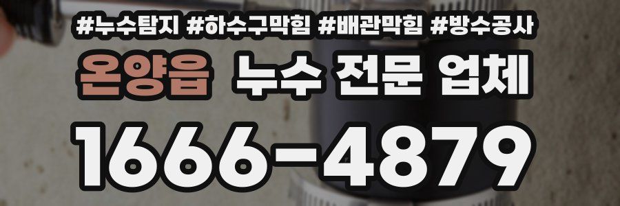 온양읍 누수 전문 업체
