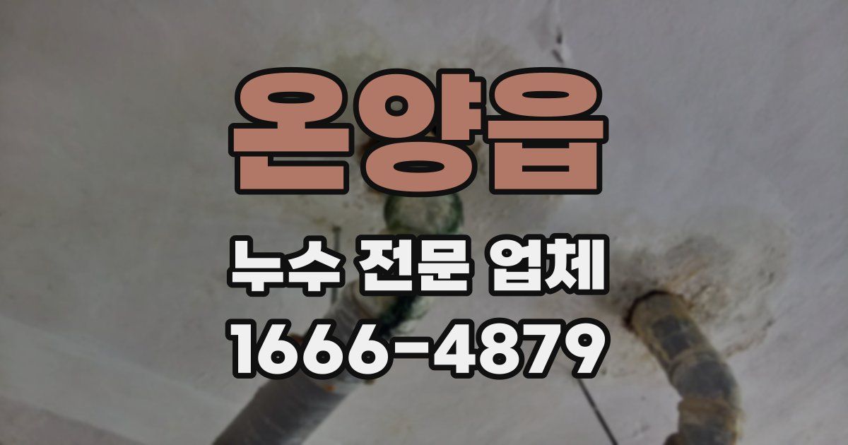 온양읍 누수 전문 업체