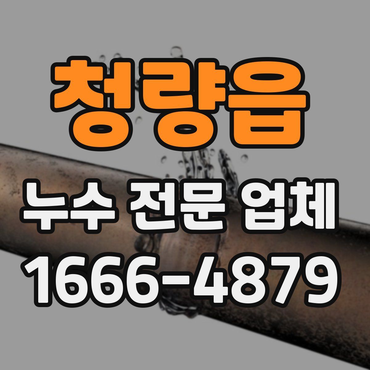 청량읍 누수 전문 업체