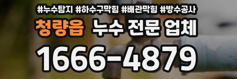 청량읍 누수 전문 업체