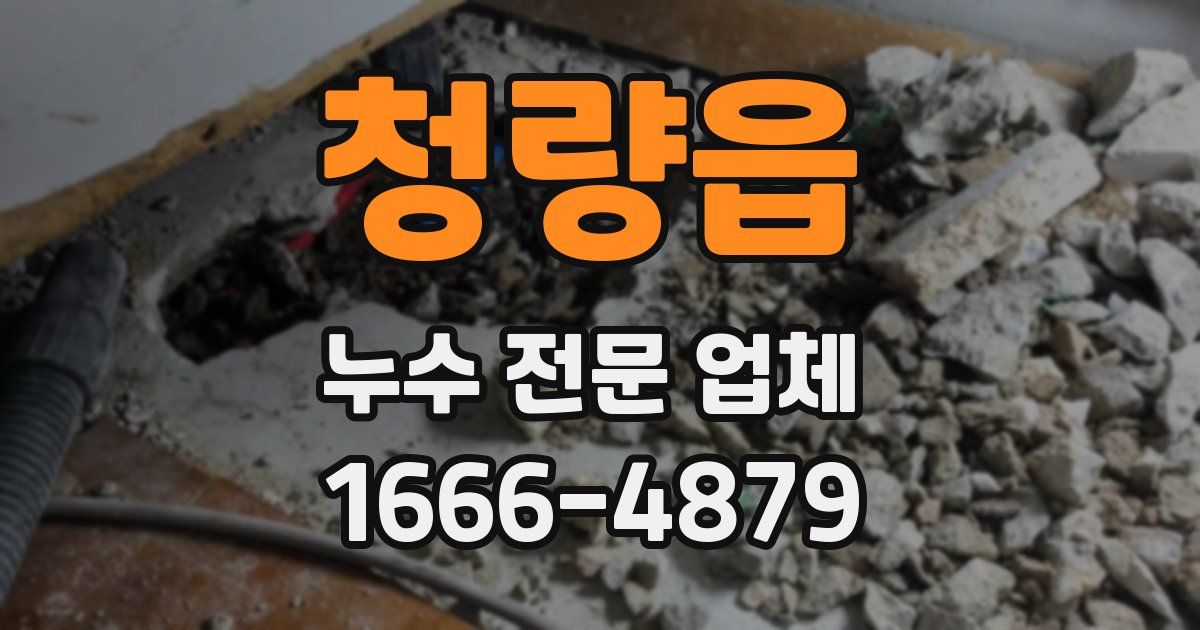 청량읍 누수 전문 업체