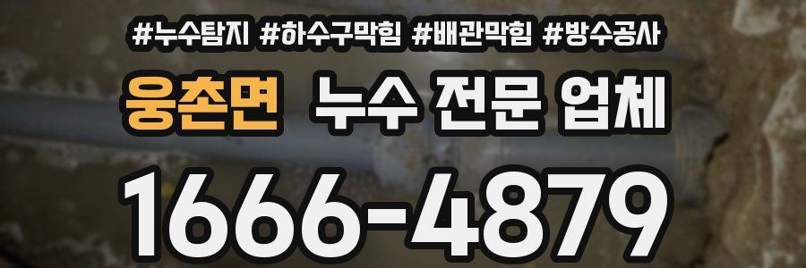 웅촌면 누수 전문 업체