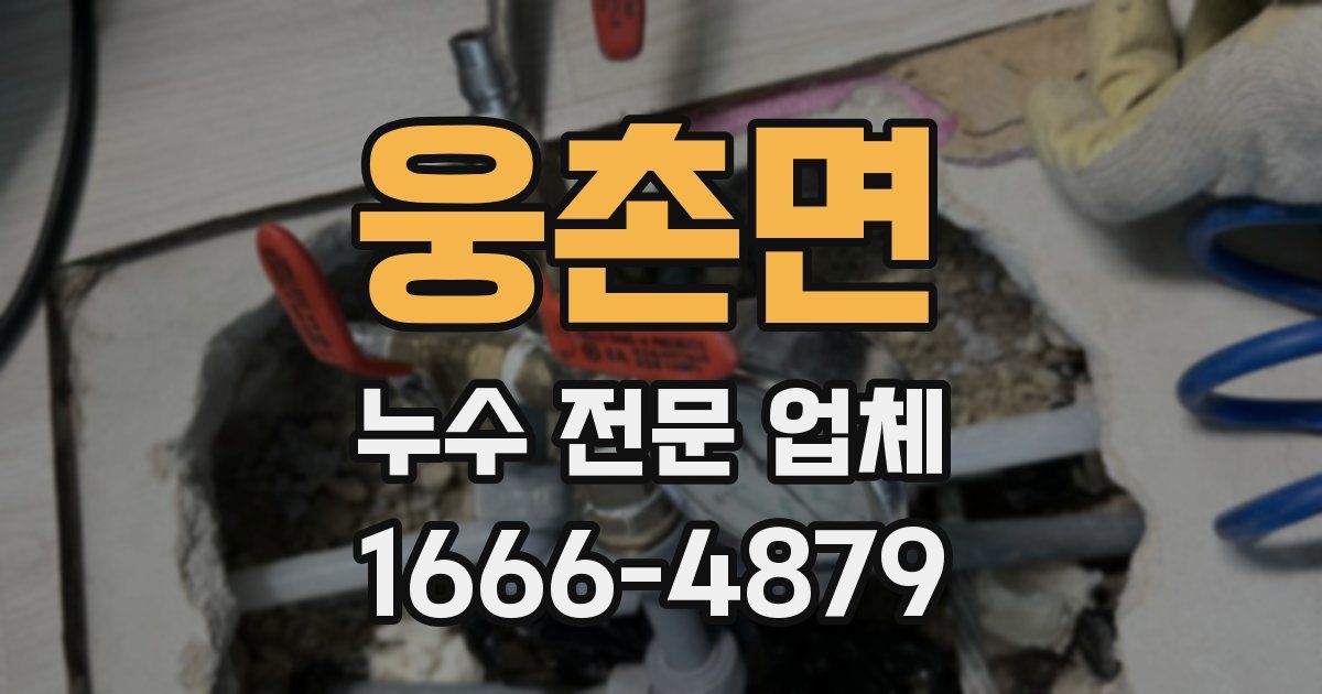 웅촌면 누수 전문 업체