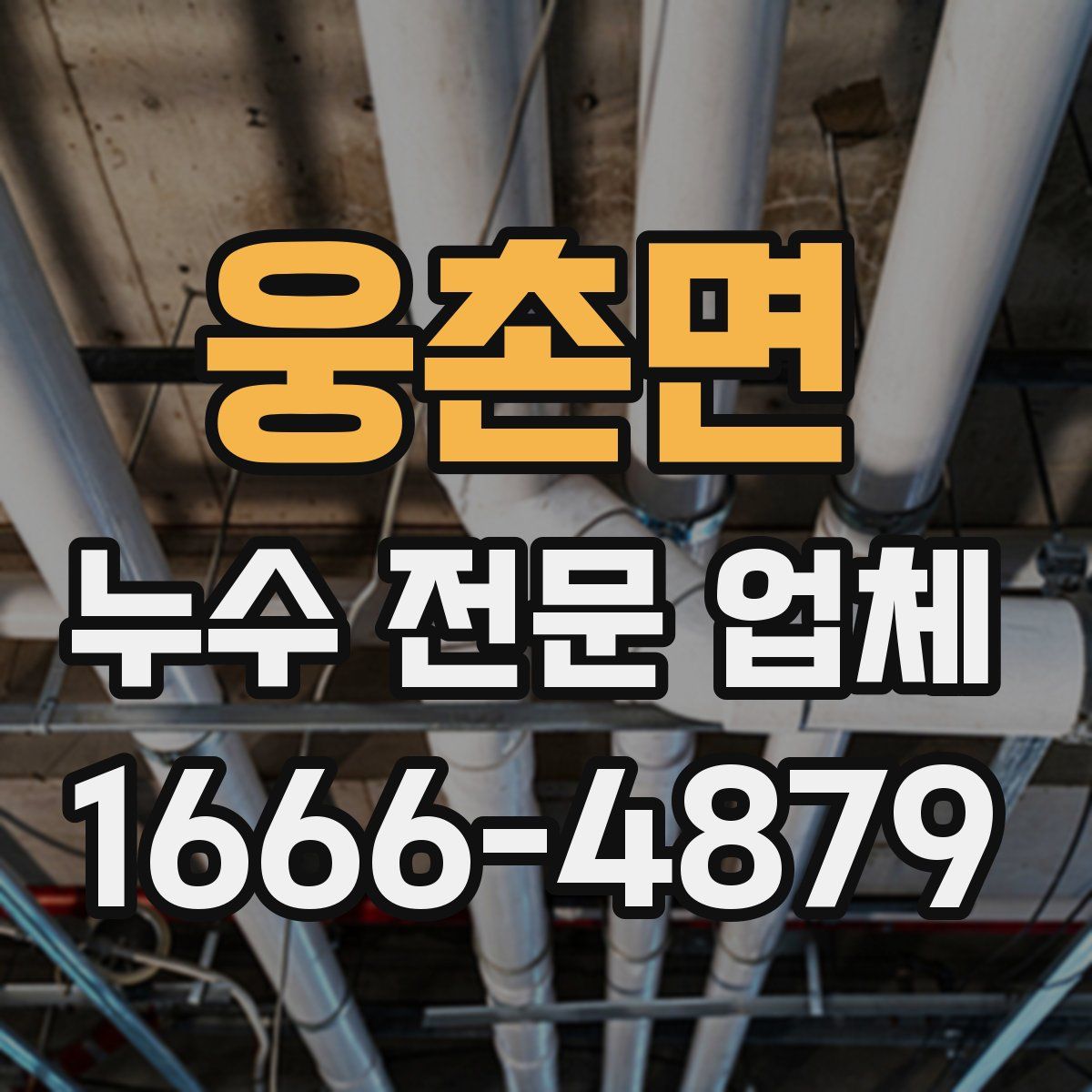 웅촌면 누수 전문 업체