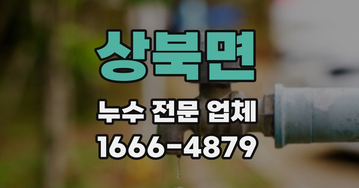 상북면 누수 전문 업체