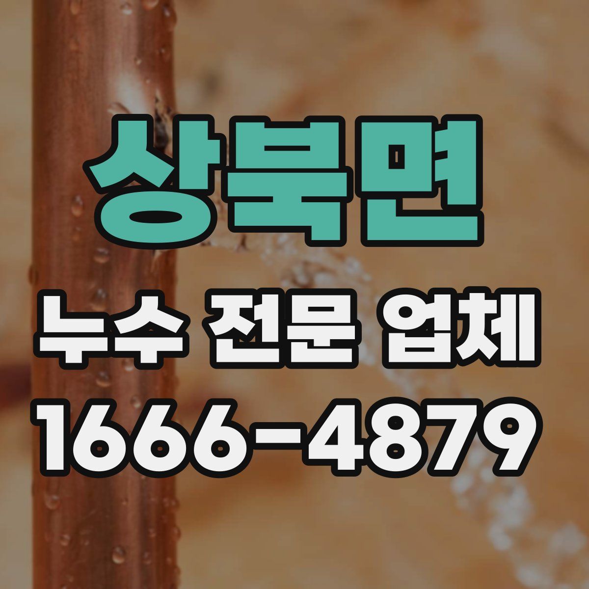 상북면 누수 전문 업체