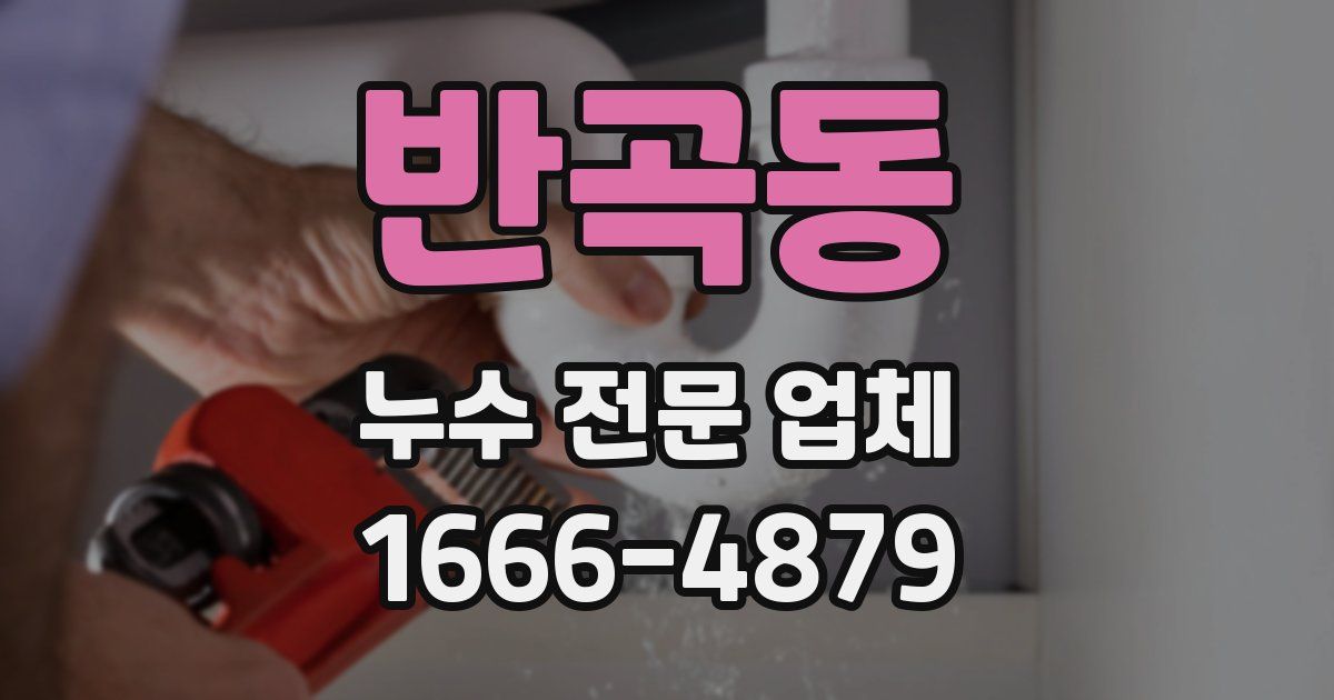 반곡동 누수 전문 업체