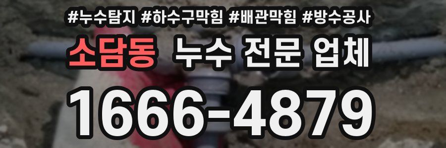 소담동 누수 전문 업체