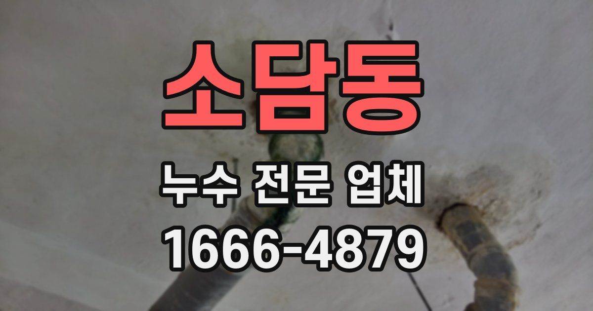 소담동 누수 전문 업체