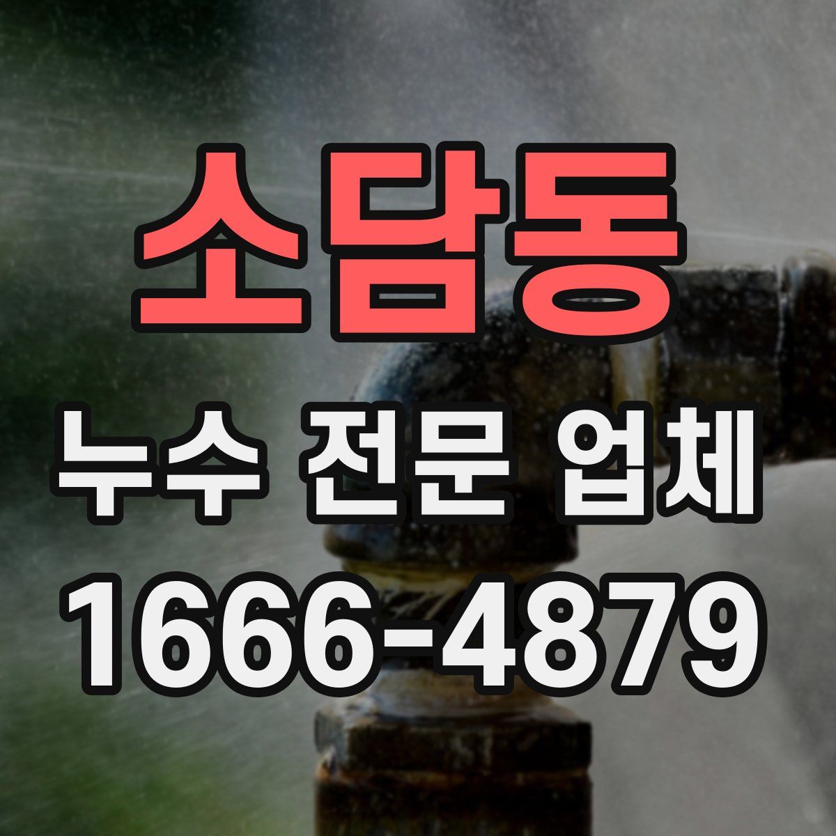 소담동 누수 전문 업체