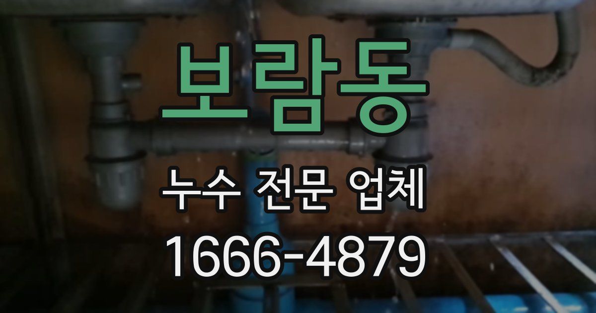 보람동 누수 전문 업체