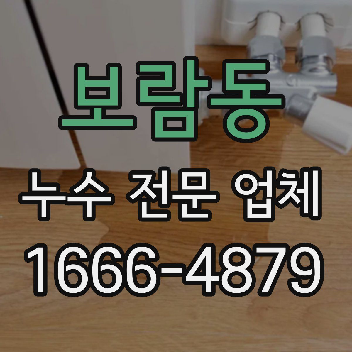 보람동 누수 전문 업체