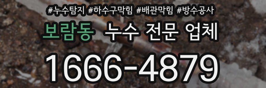 보람동 누수 전문 업체