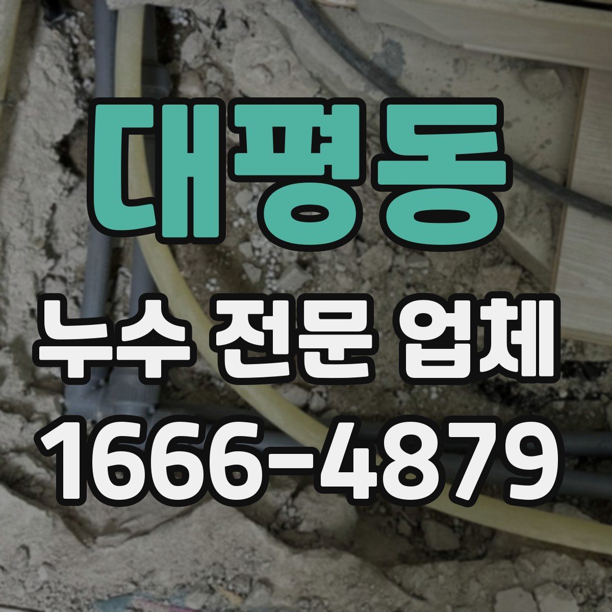대평동 누수 전문 업체