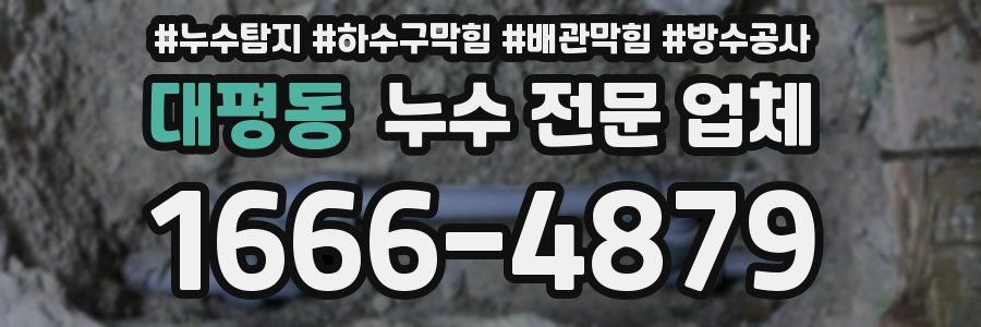 대평동 누수 전문 업체