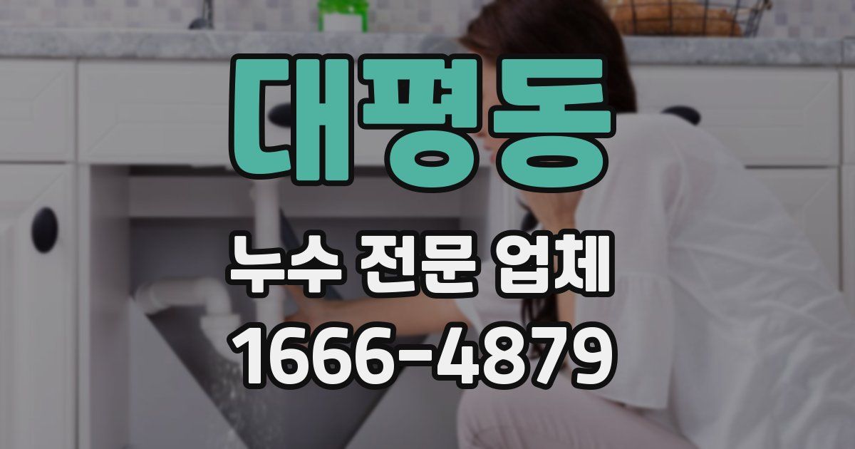 대평동 누수 전문 업체