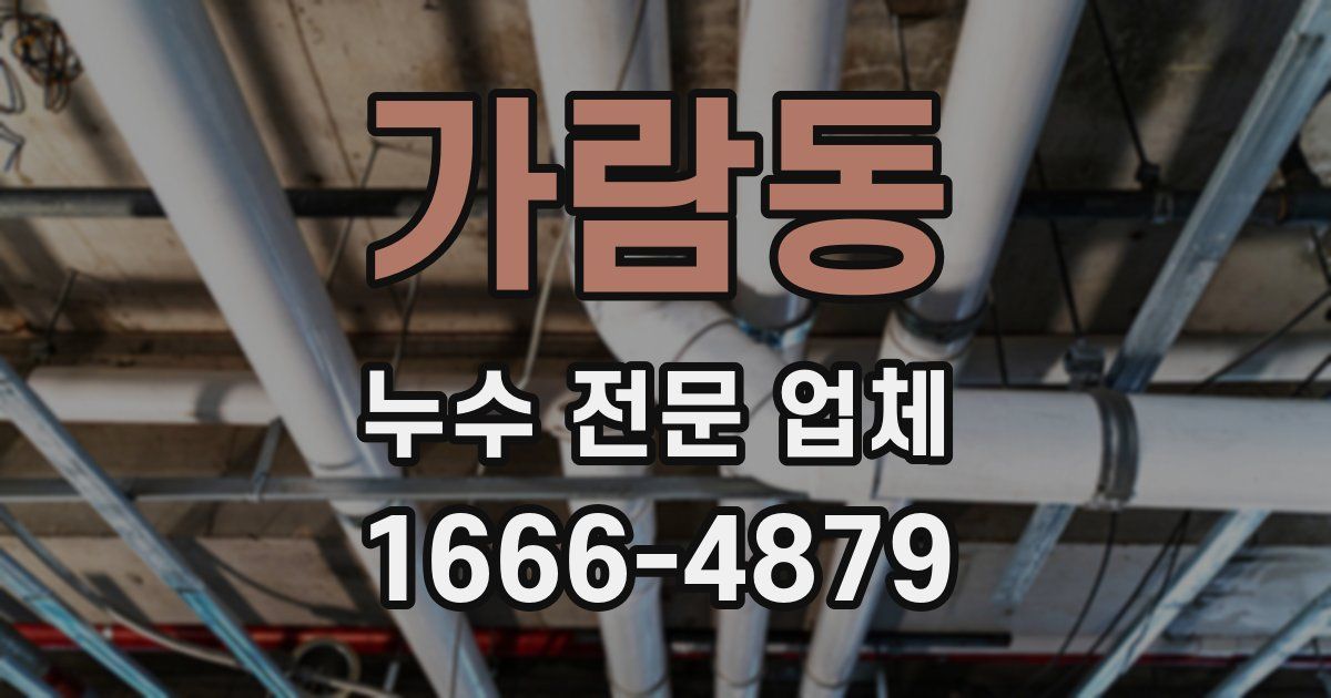 가람동 누수 전문 업체