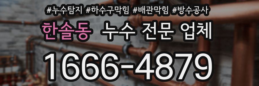 한솔동 누수 전문 업체