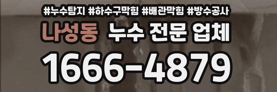 나성동 누수 전문 업체