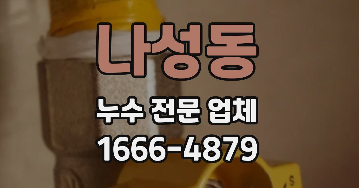 나성동 누수 전문 업체