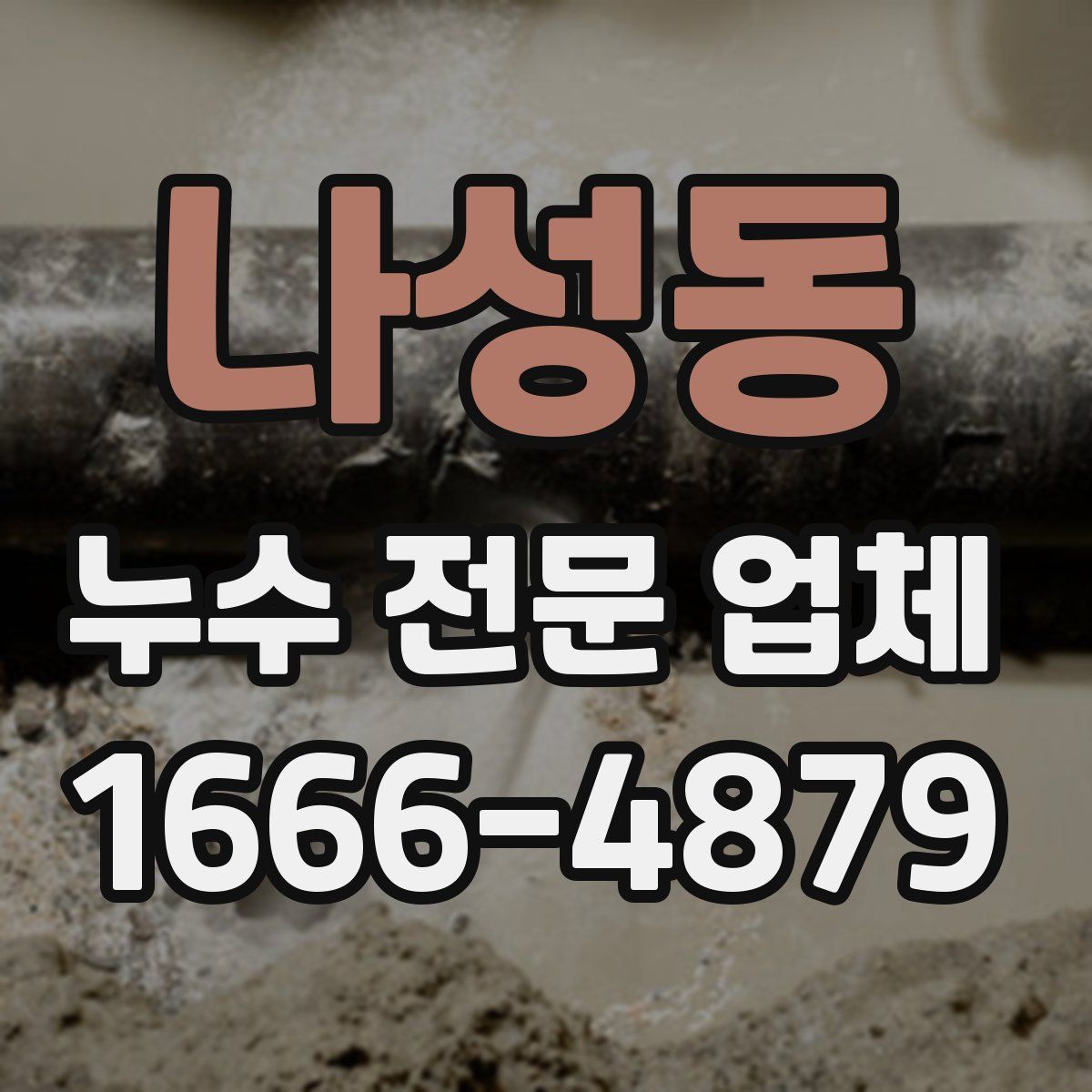 나성동 누수 전문 업체
