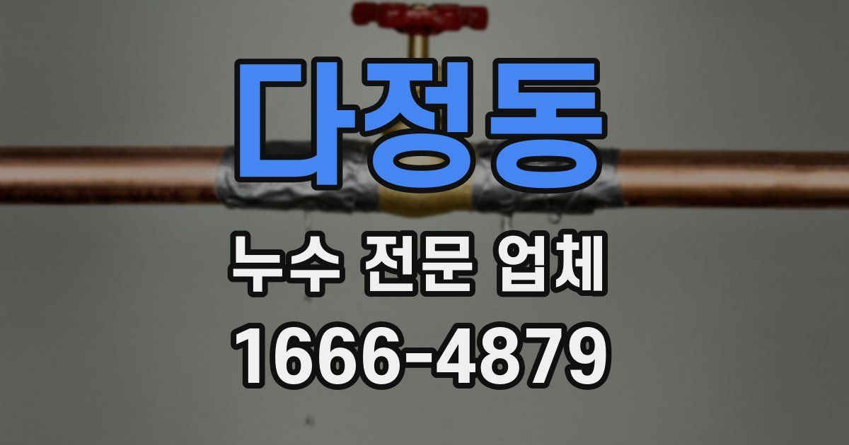 다정동 누수 전문 업체