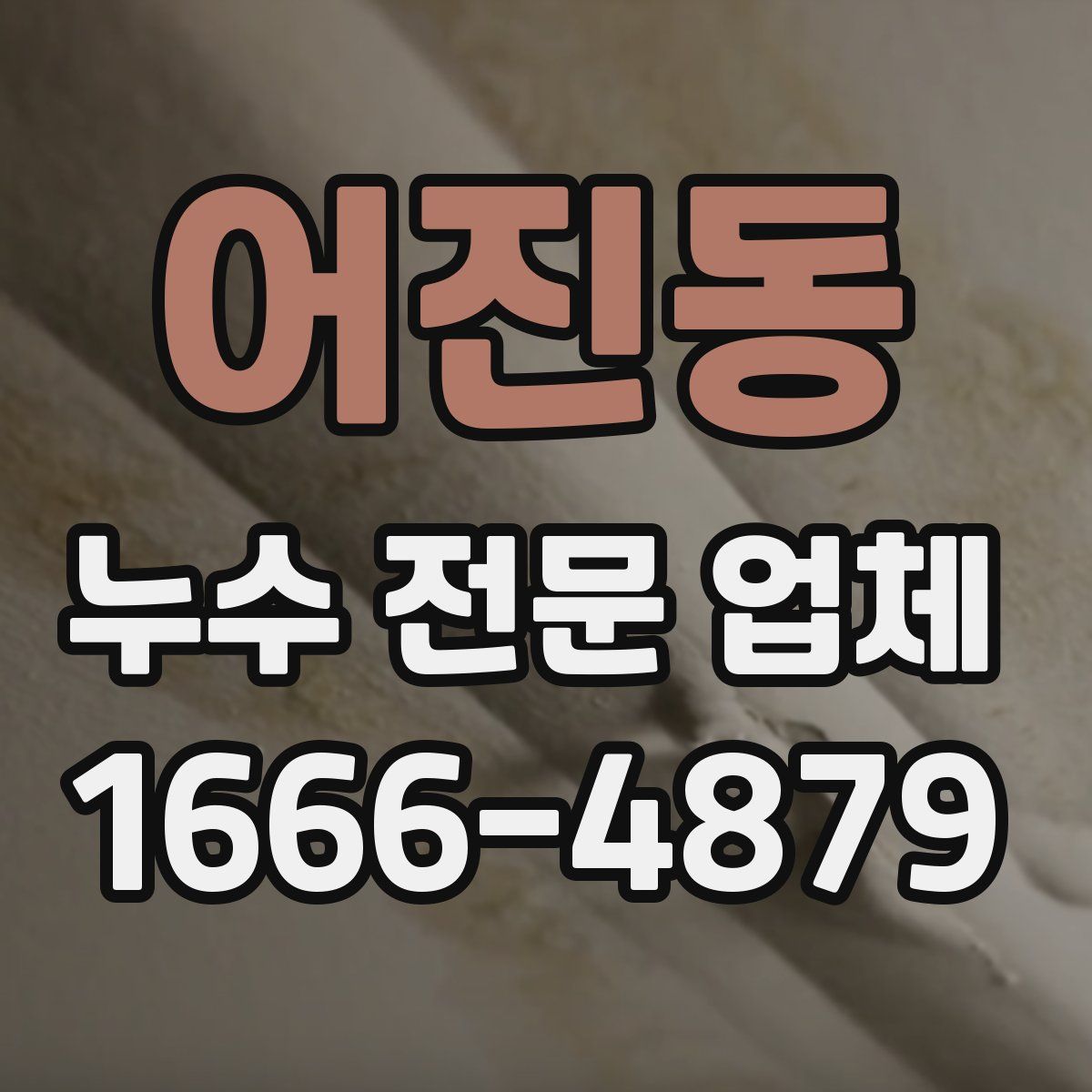 어진동 누수 전문 업체
