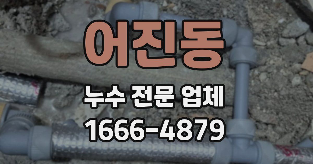 어진동 누수 전문 업체