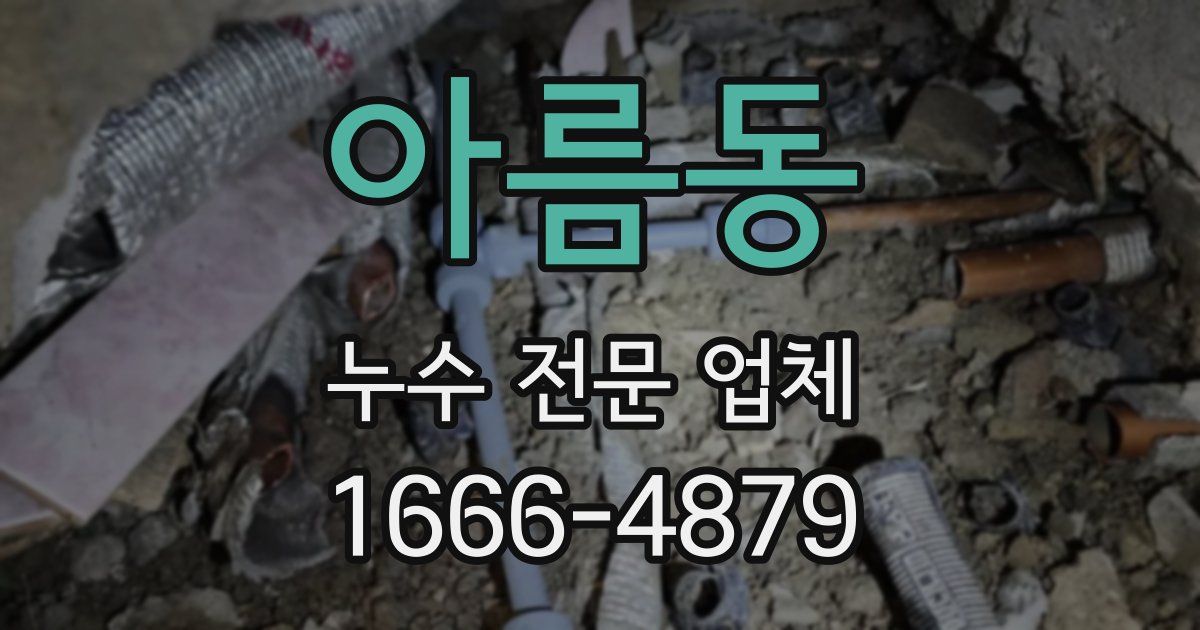 아름동 누수 전문 업체