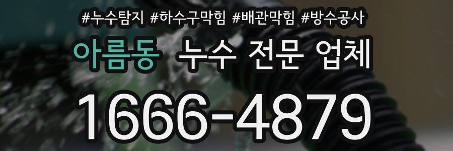 아름동 누수 전문 업체