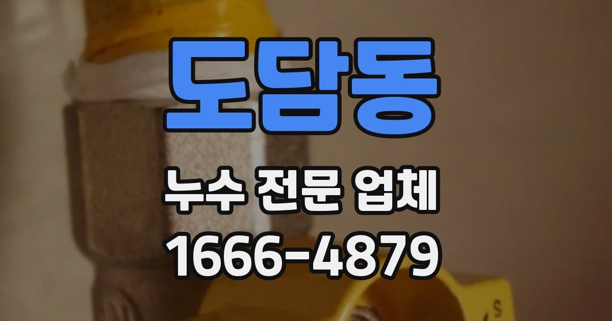 도담동 누수 전문 업체