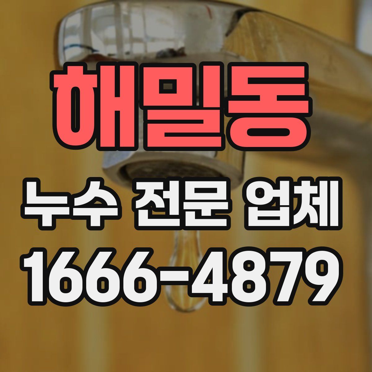 해밀동 누수 전문 업체