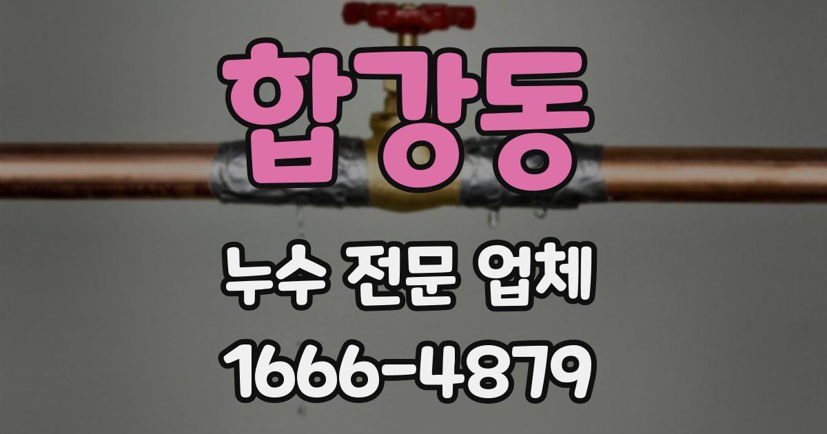 합강동 누수 전문 업체