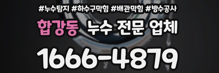 합강동 누수 전문 업체